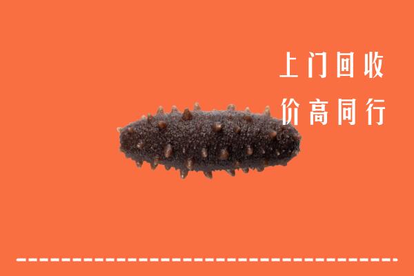 高价求购：大同回收海参